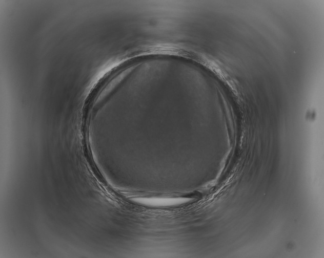 X0000097841312200803281215