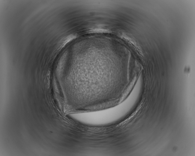 X0000097841313200803281215