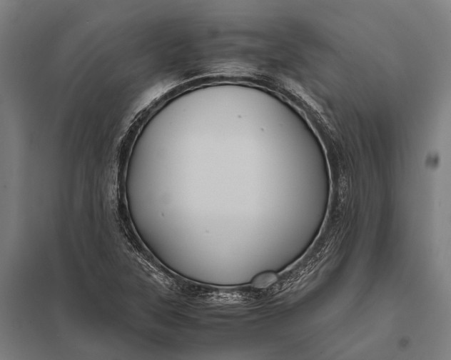 X0000097841315200803281215