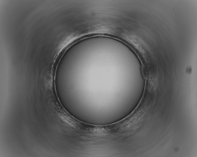 X0000097841316200803281215