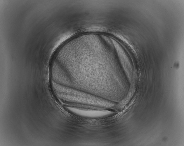 X0000097841317200803281215