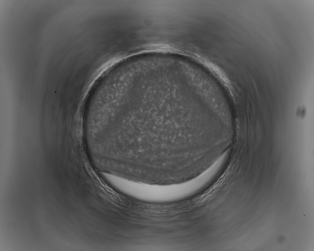 X0000097841318200803281215