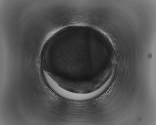 X0000097841319200803281215