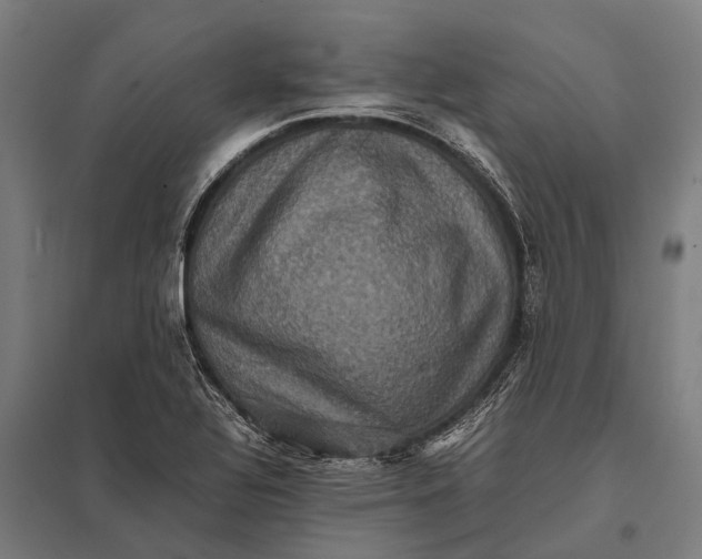 X0000097841320200803281215