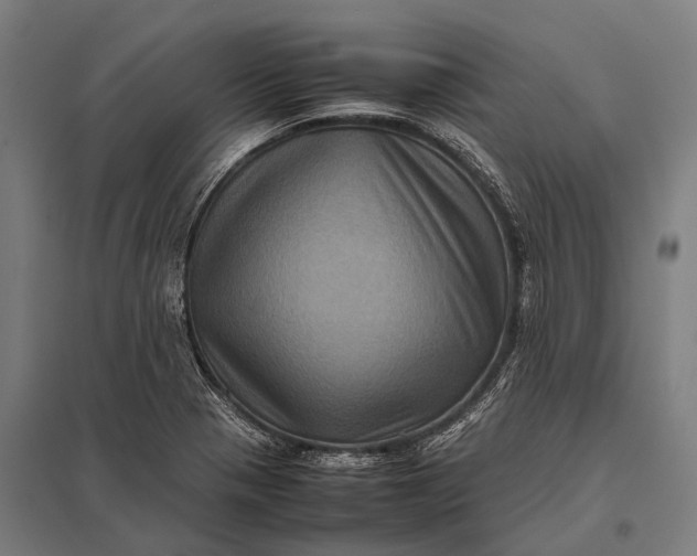 X0000097841321200803281215