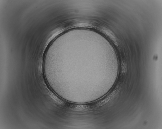 X0000097841322200803281215