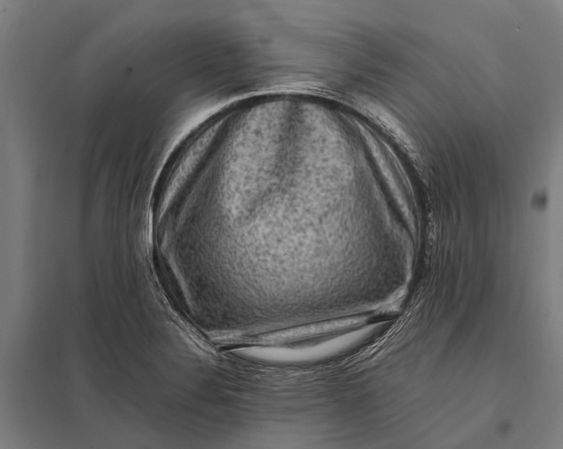 X0000097841324200803281215