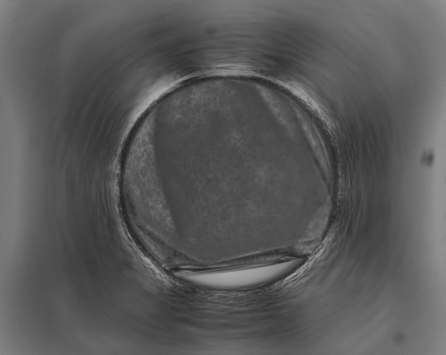 X0000097841325200803281215