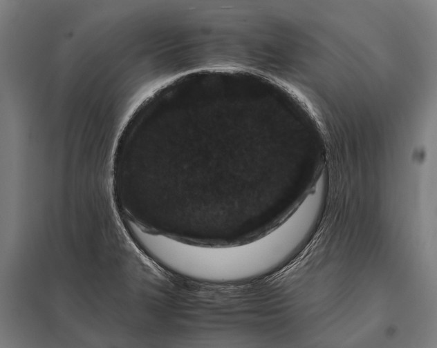 X0000097841327200803281215