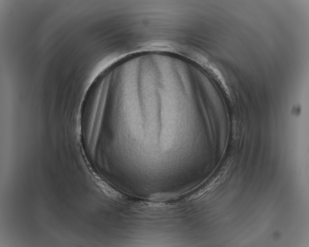 X0000097841328200803281215