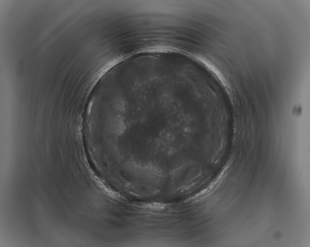 X0000097841329200803281215