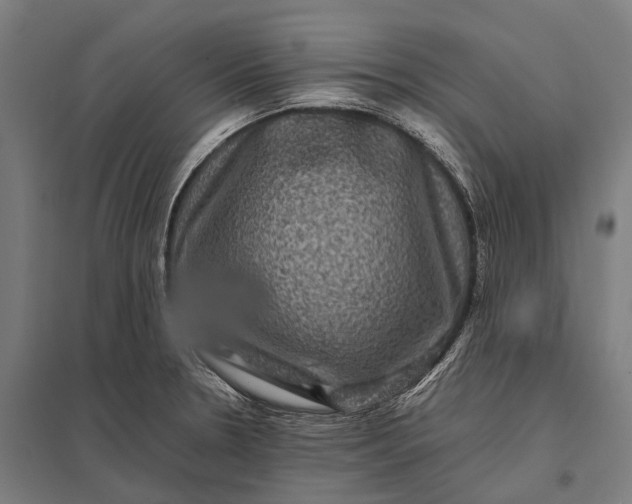 X0000097841330200803281215