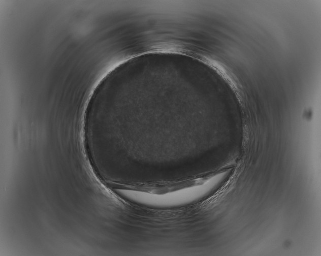 X0000097841331200803281215