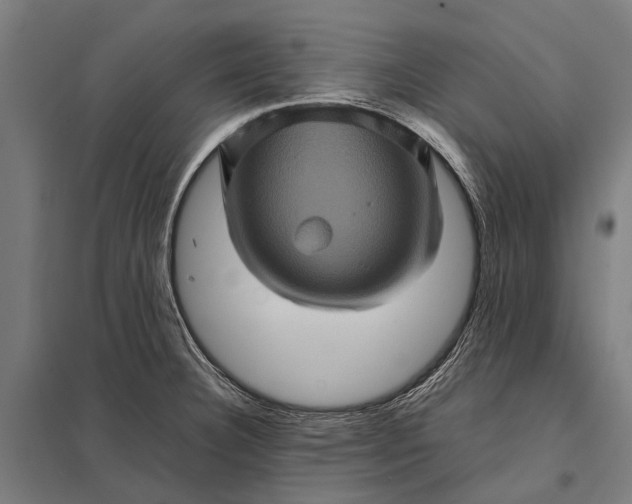 X0000097841332200803281215