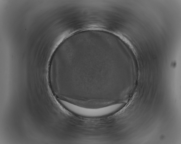 X0000097841333200803281215