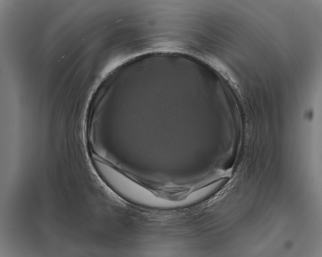 X0000097841334200803281215