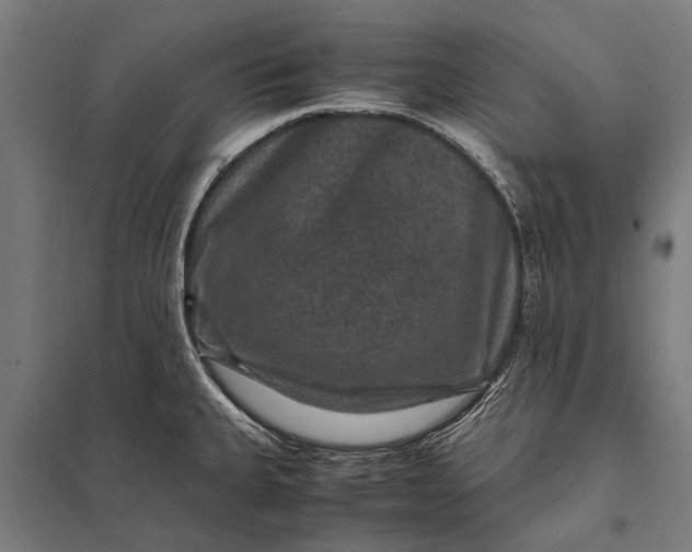 X0000097841335200803281215