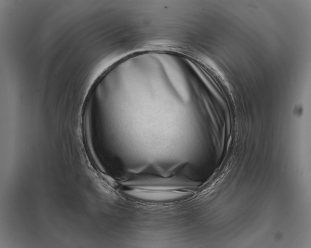 X0000097841336200803281215