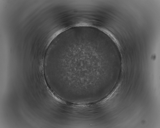 X0000097841337200803281215