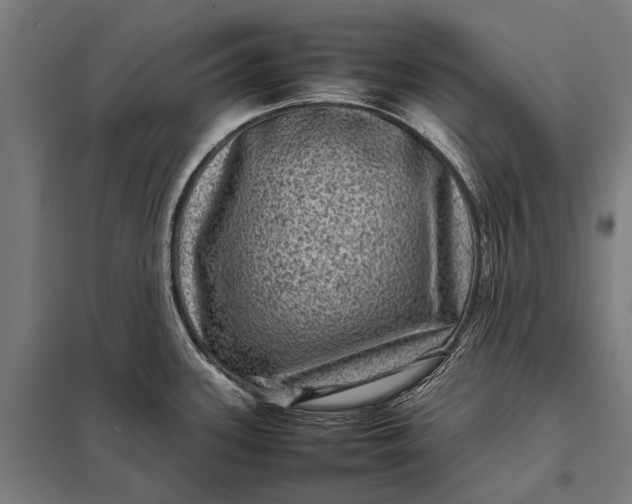 X0000097841339200803281215
