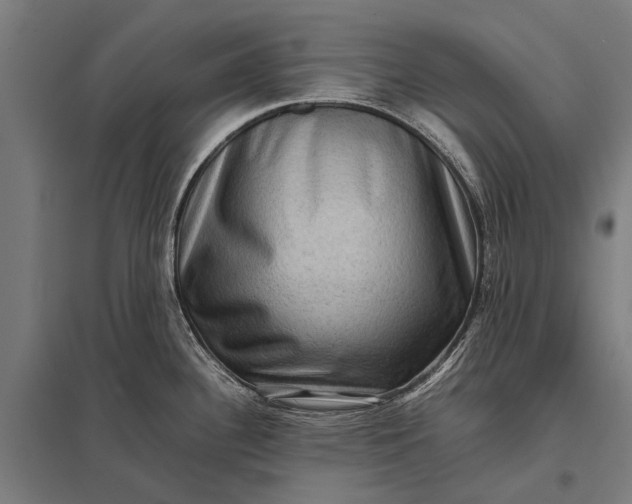 X0000097841340200803281215