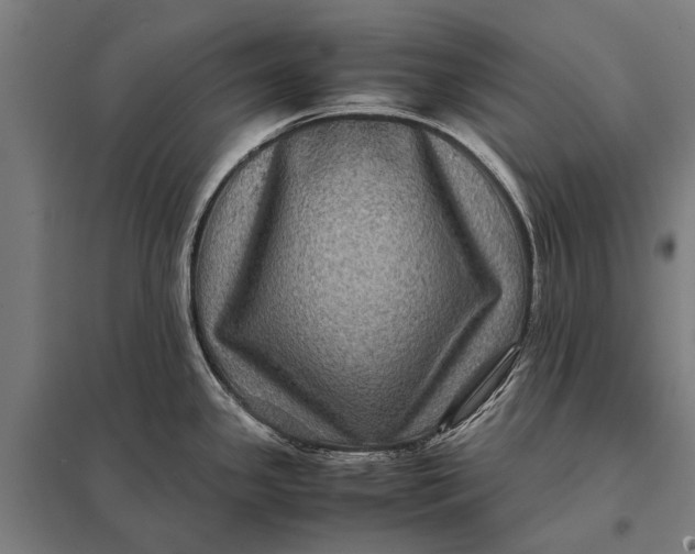 X0000097841341200803281215