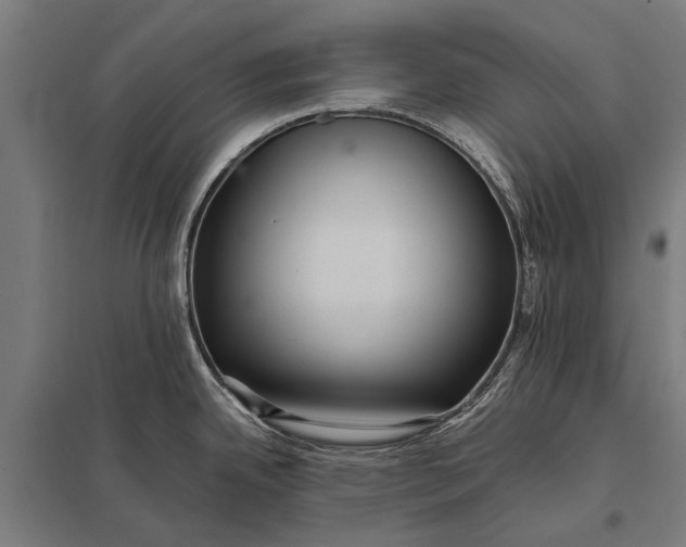 X0000097841342200803281215