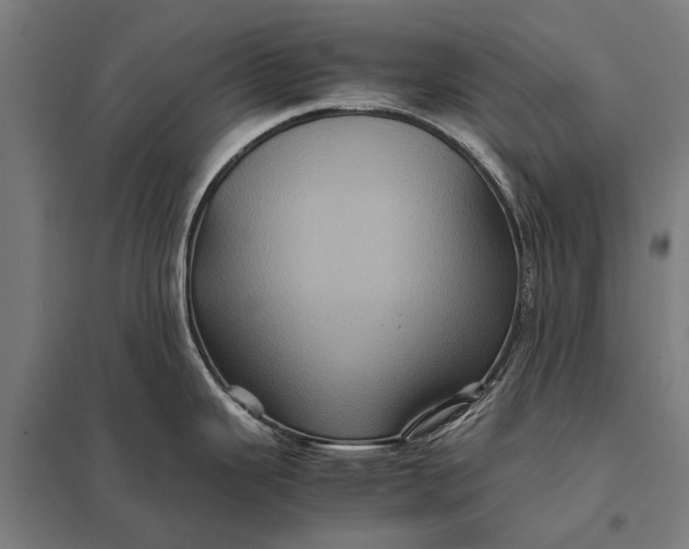 X0000097841343200803281215