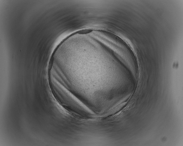 X0000097841344200803281215