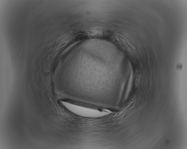 X0000097841345200803281214