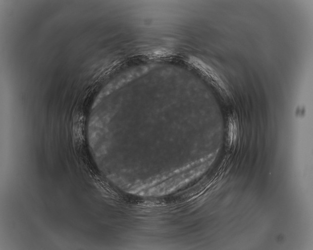 X0000097841346200803281214
