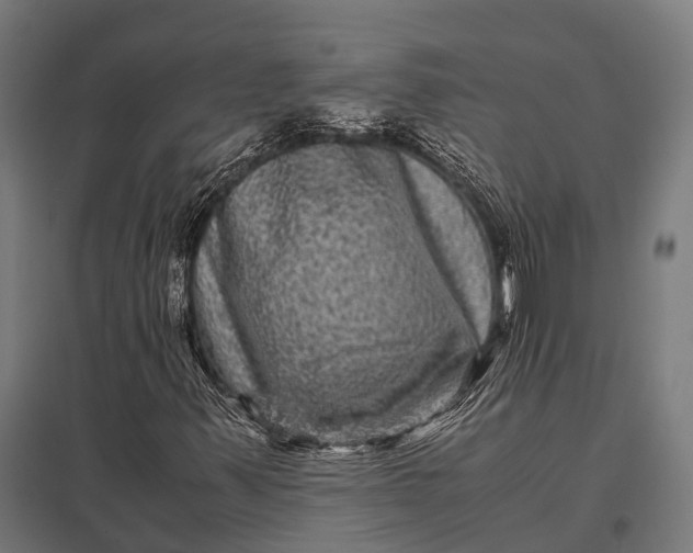 X0000097841347200803281214