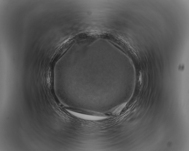 X0000097841348200803281214
