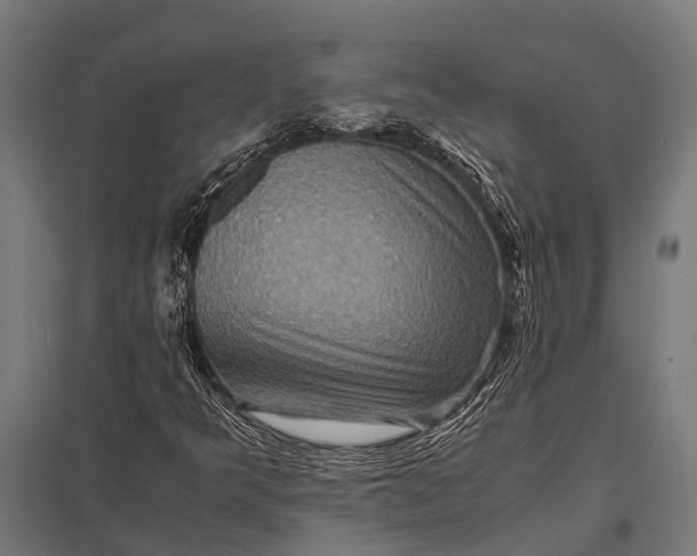 X0000097841349200803281214