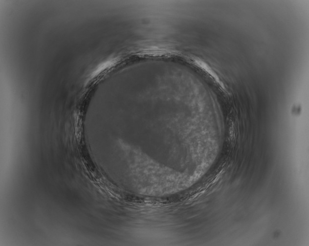 X0000097841350200803281214