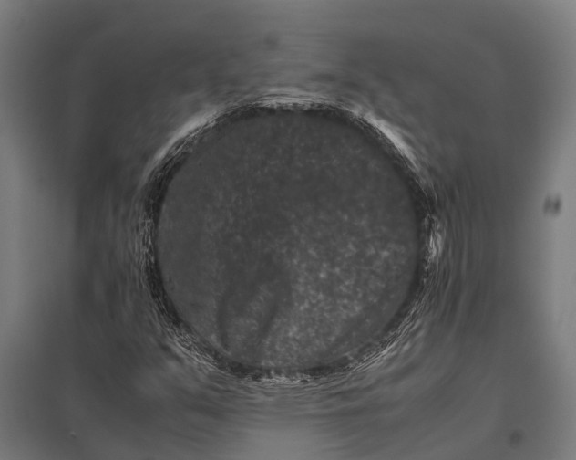 X0000097841351200803281214