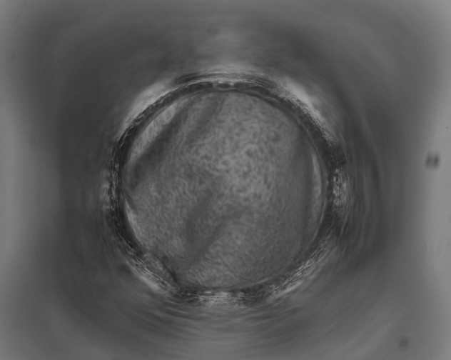 X0000097841352200803281214
