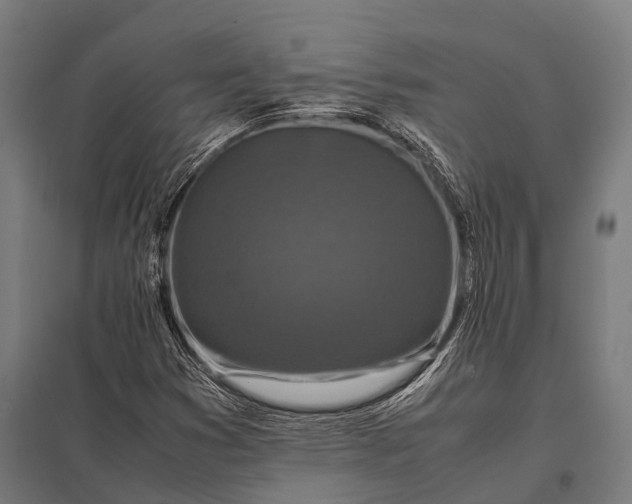X0000097841353200803281214