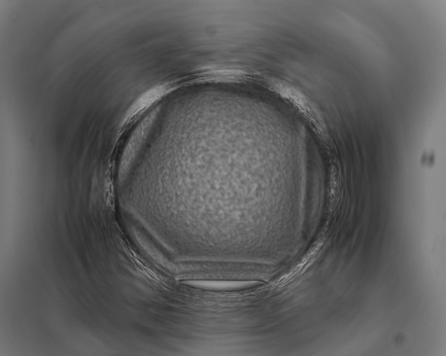X0000097841354200803281214