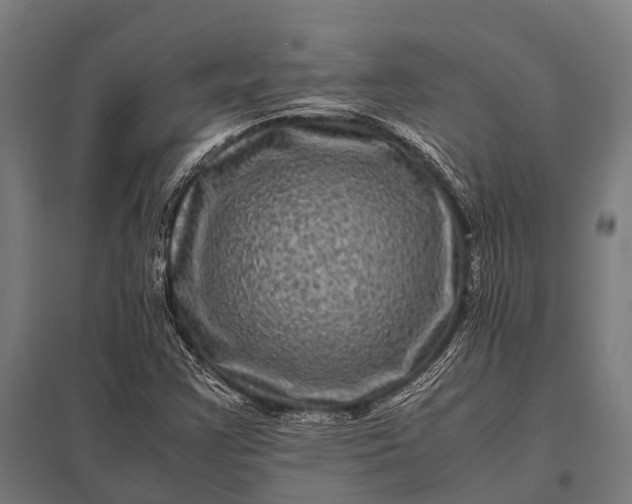 X0000097841355200803281214