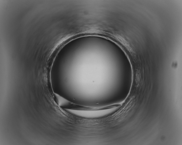 X0000097841356200803281214