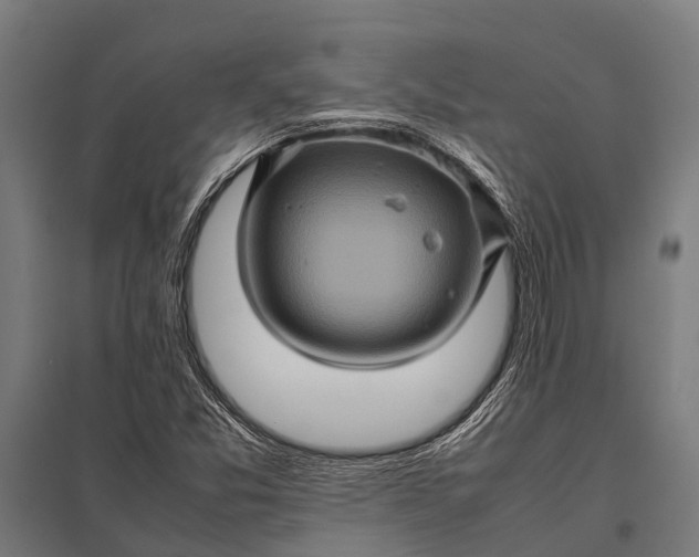 X0000097841357200803281214