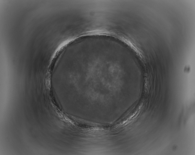 X0000097841358200803281214