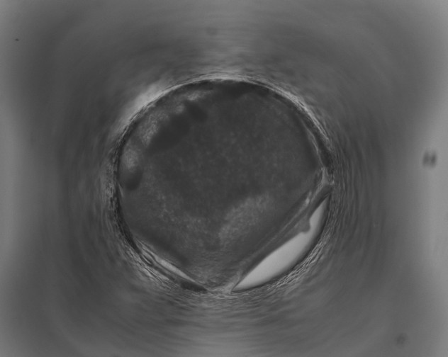 X0000097841359200803281214