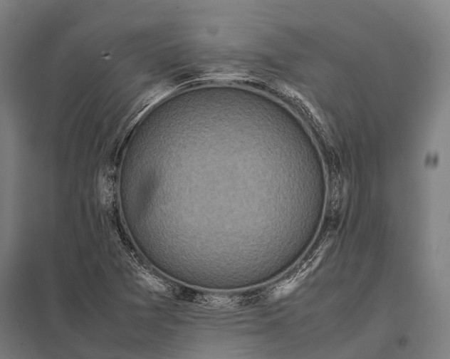 X0000097841361200803281214