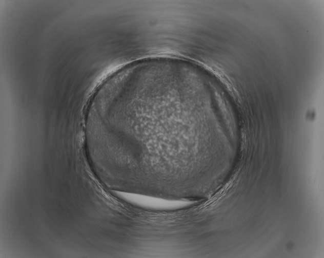 X0000097841363200803281214