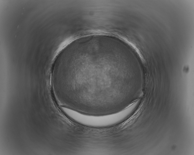 X0000097841365200803281214