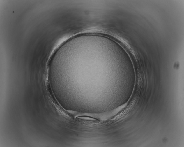 X0000097841366200803281214