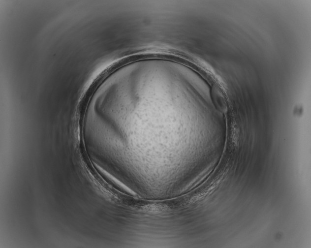 X0000097841368200803281214