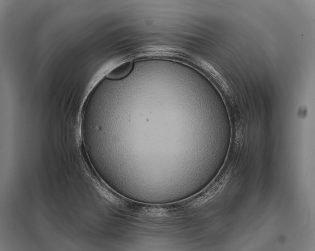 X0000097841370200803281214